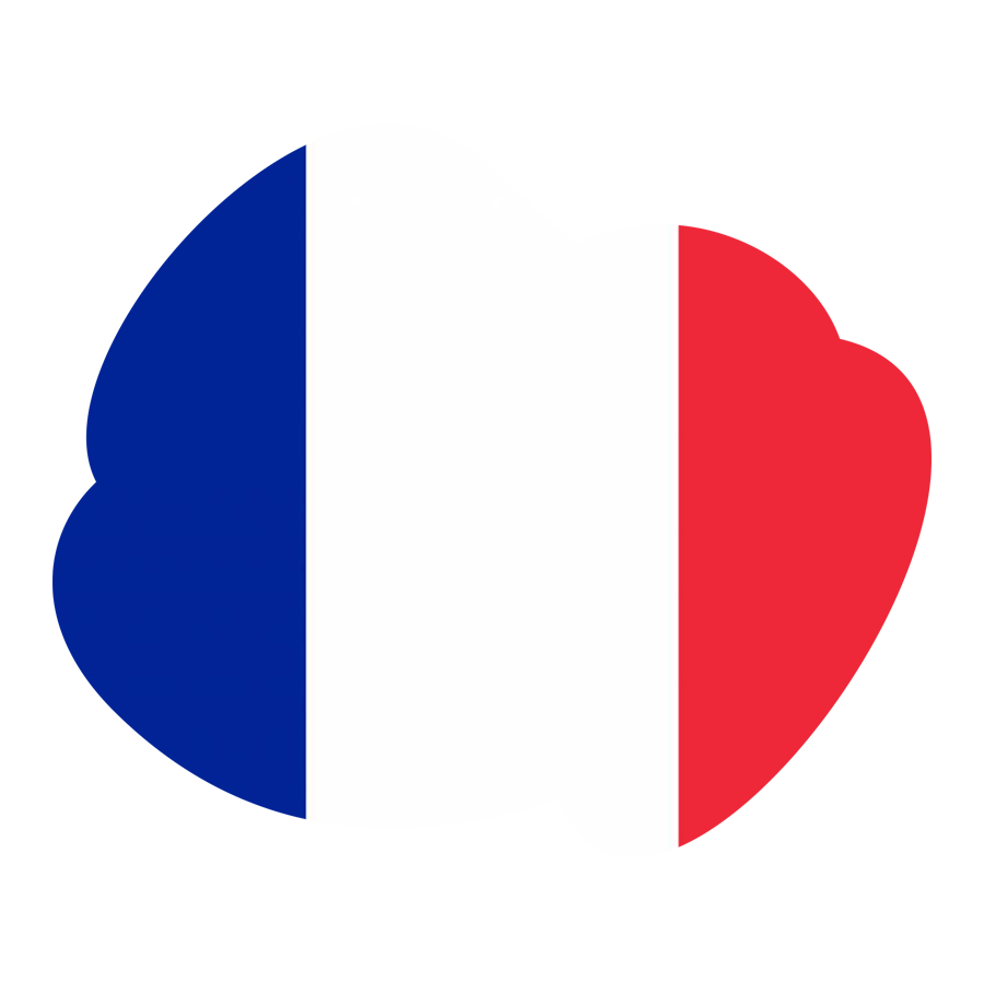 france-flag